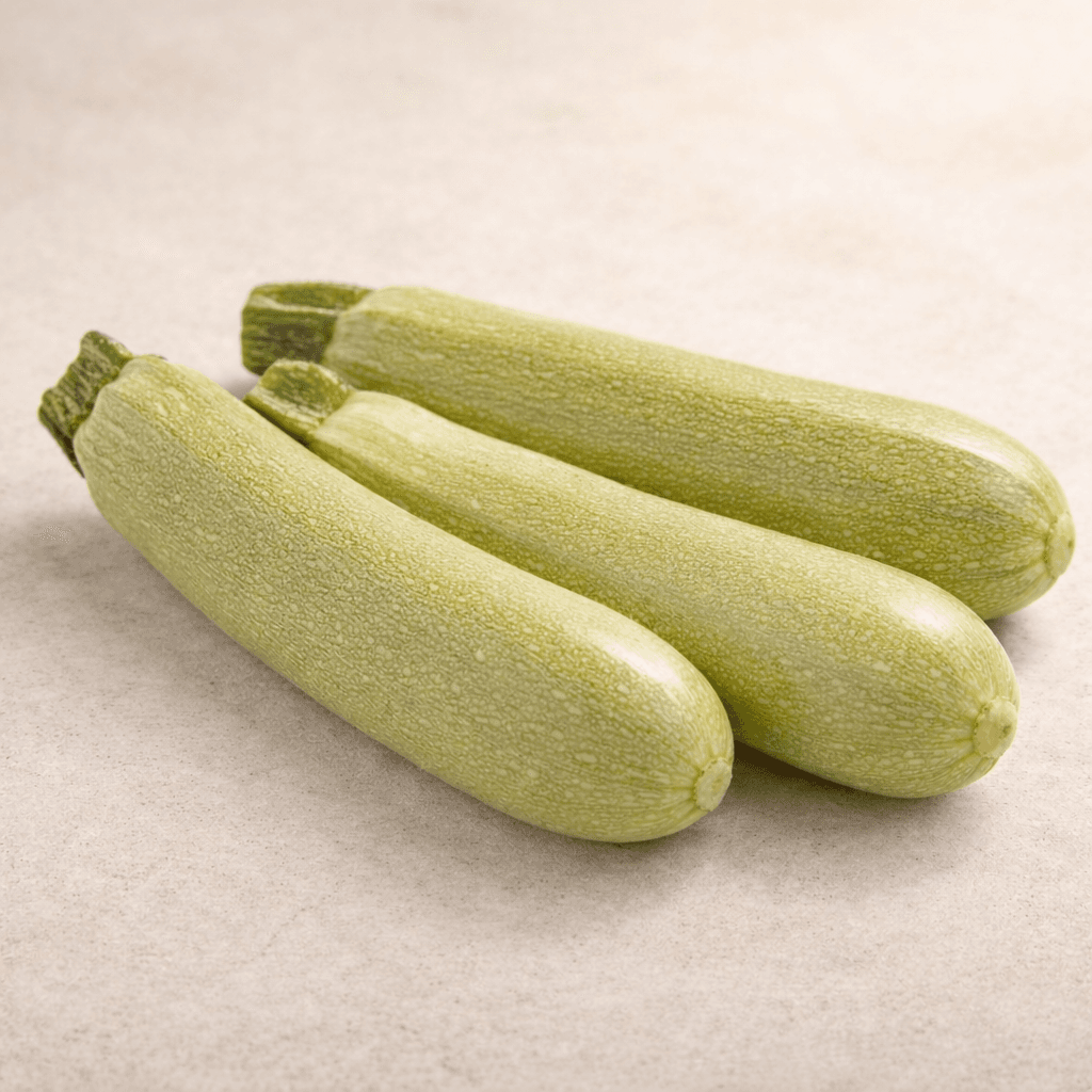 Courgette Blanche
