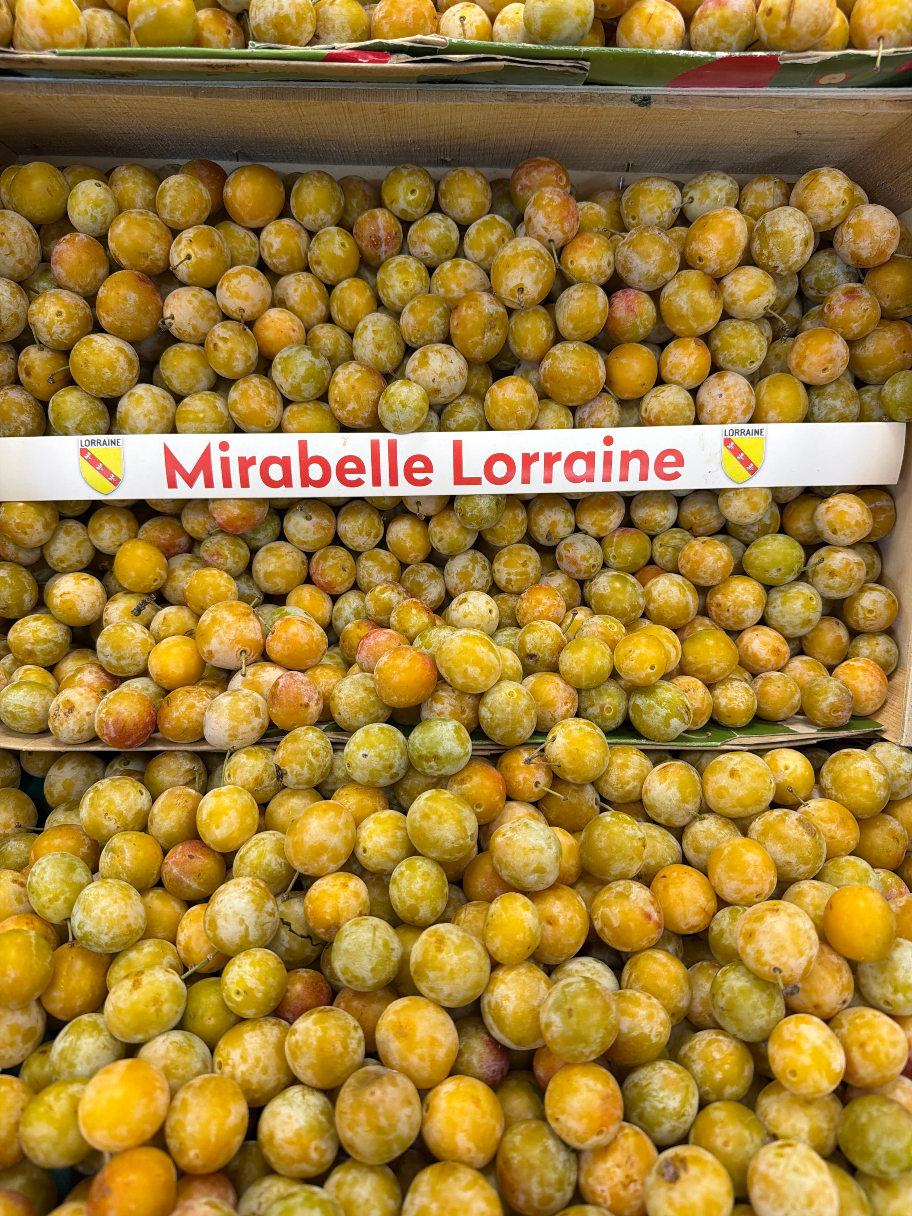 Mirabelle Lorraine