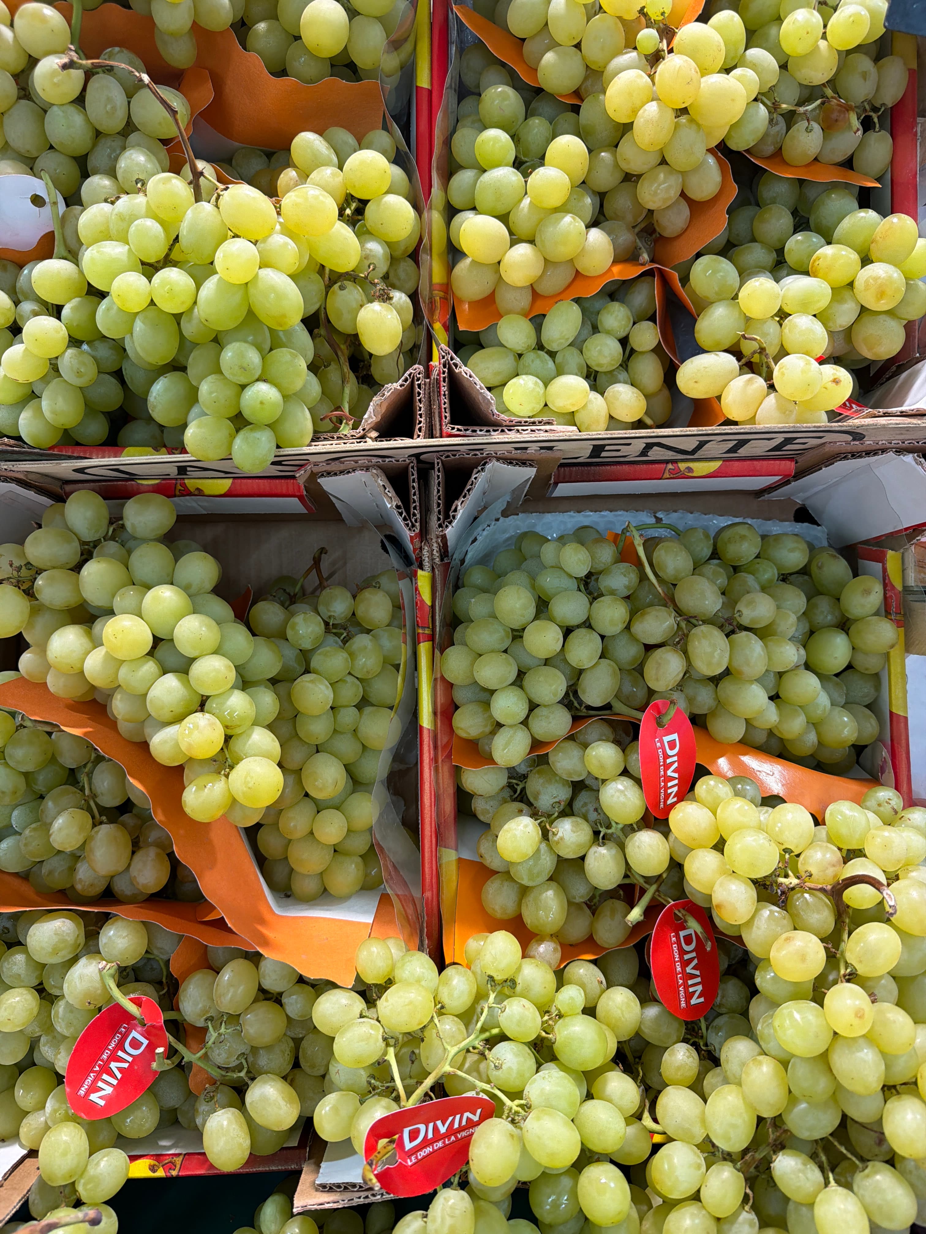 Raisins Italia