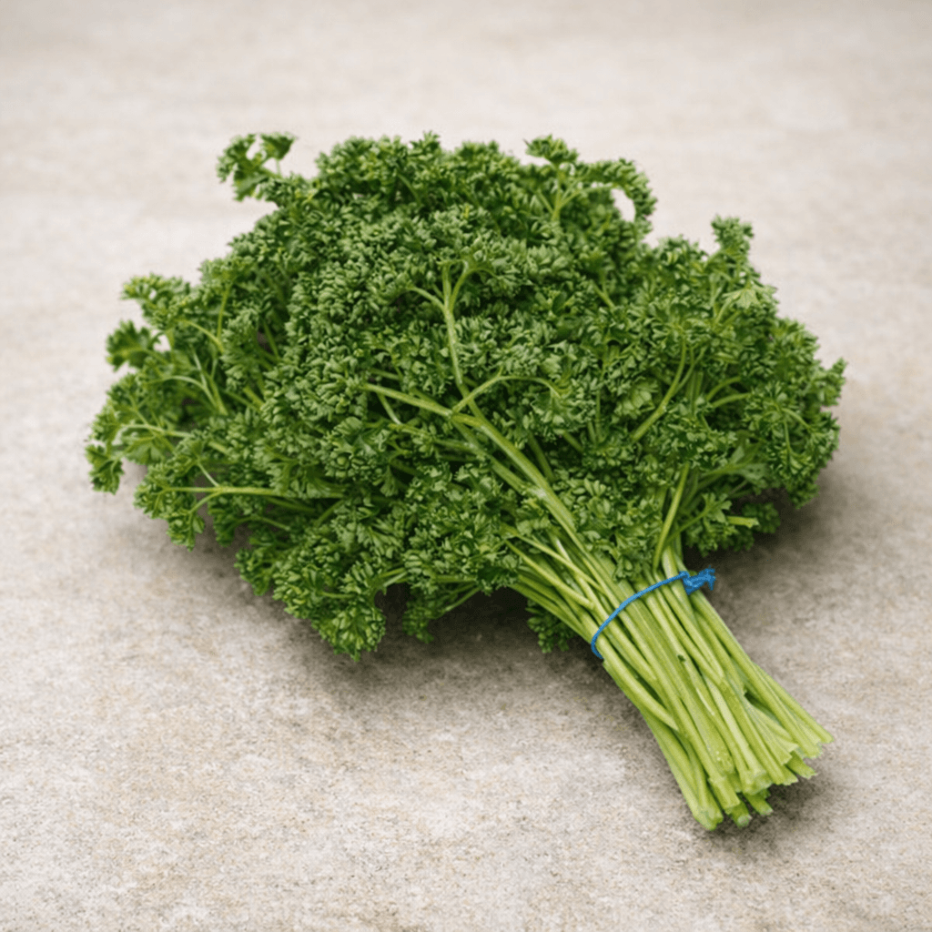 Persil frisé
