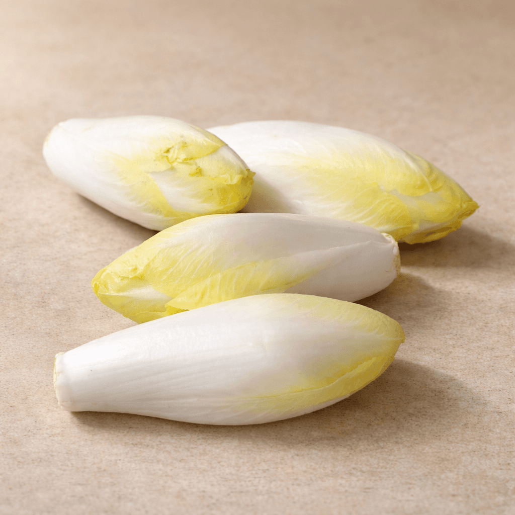 Endive extra