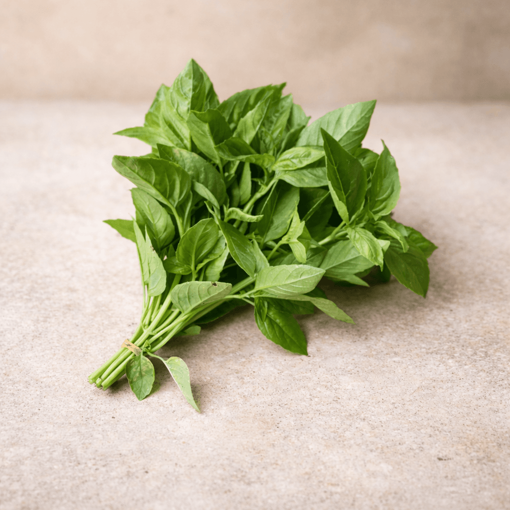 Basilic frais