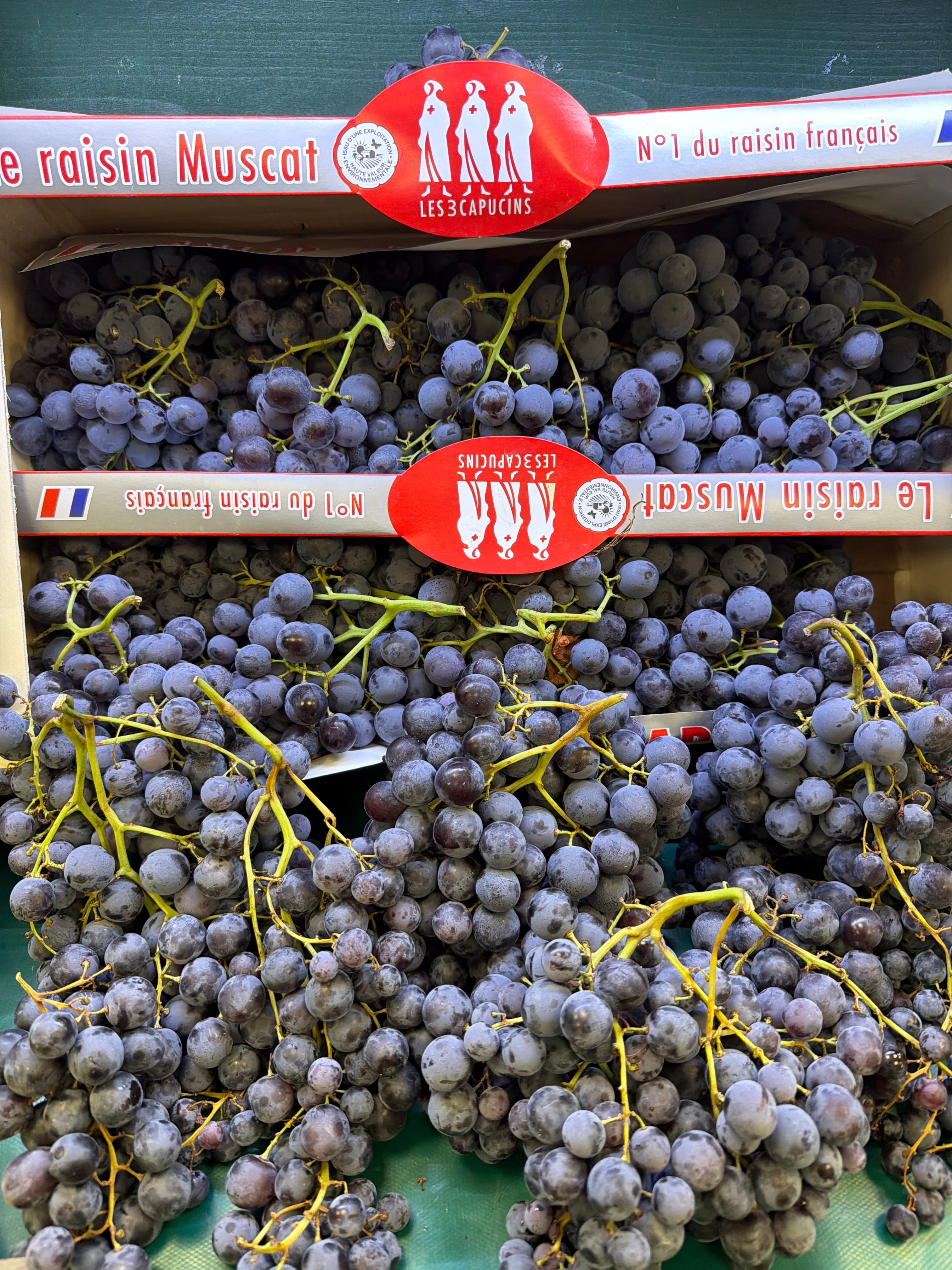Raisin Muscat