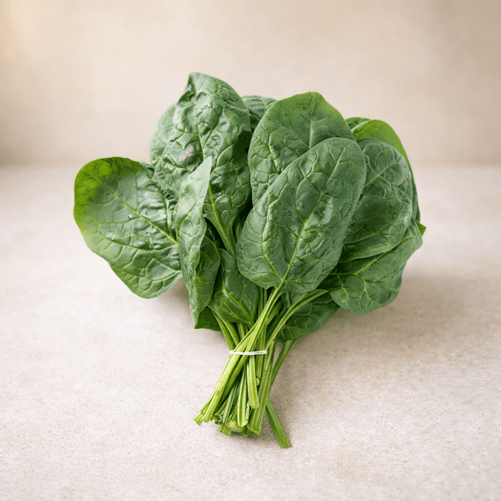 Epinard grosse feuille