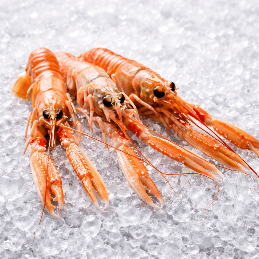 Langoustines cuites