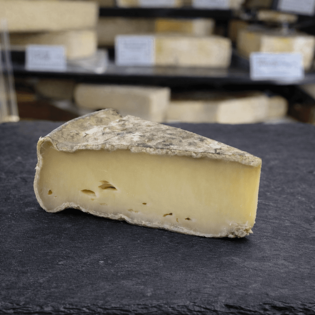 Tomme du Fort Saint Antoine