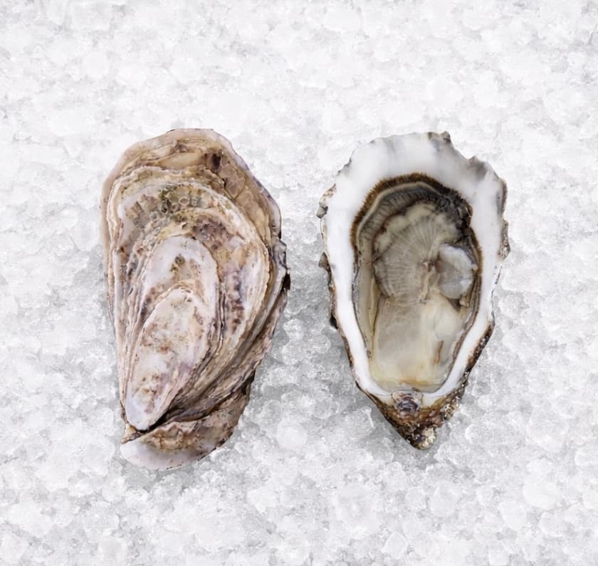 Huîtres fines de claires n°2