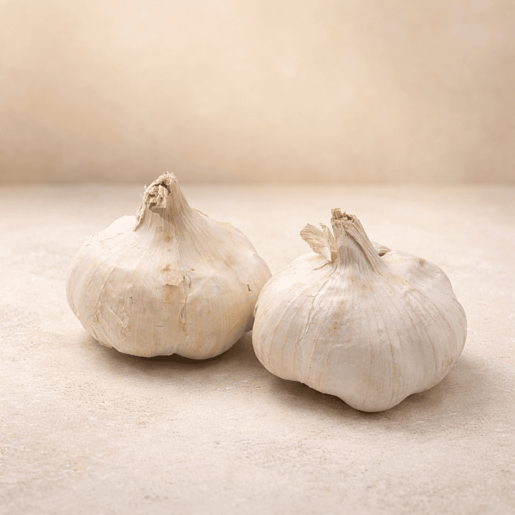 Ail blanc grosse tête