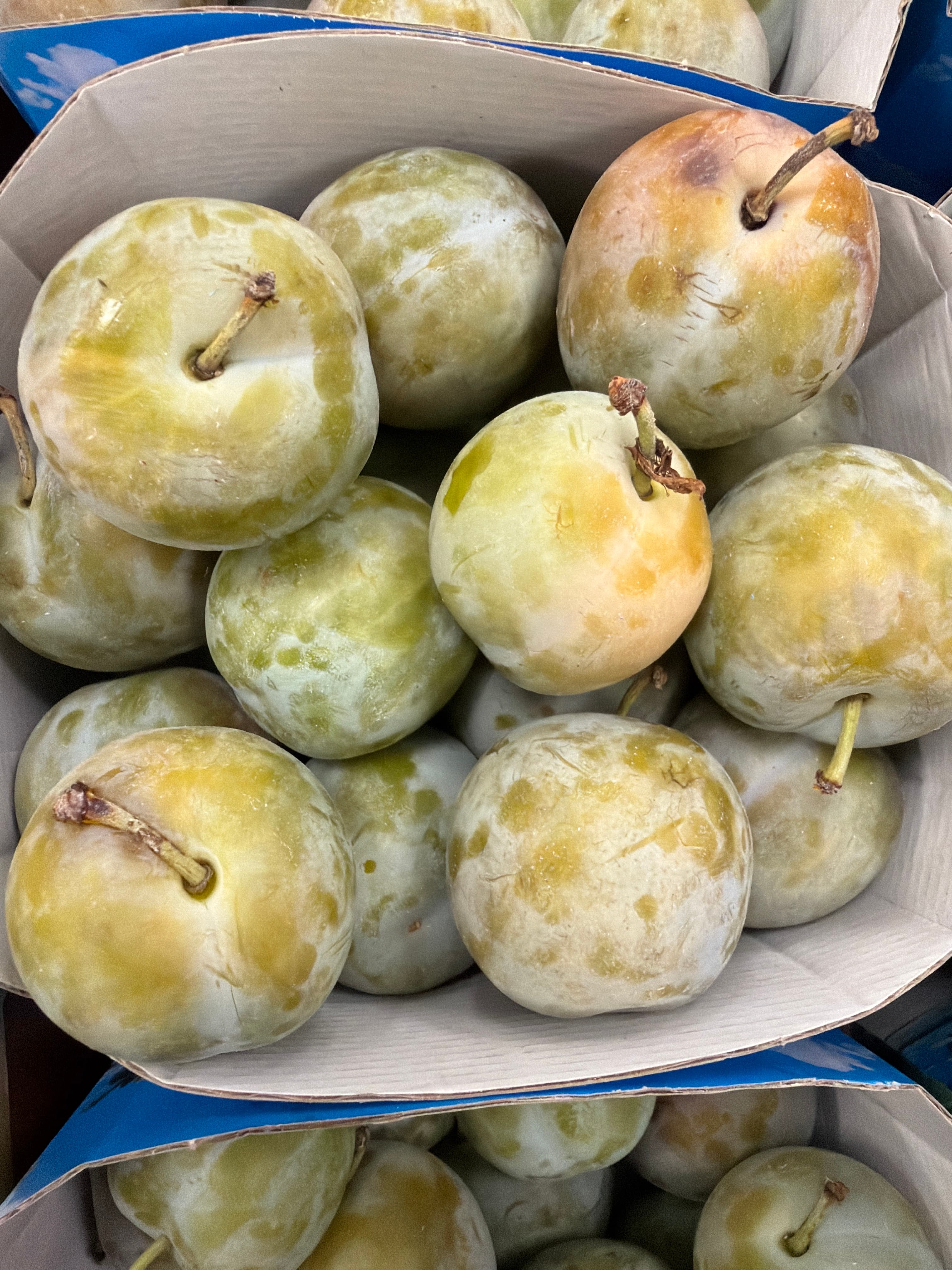 Prune reine claude Extra