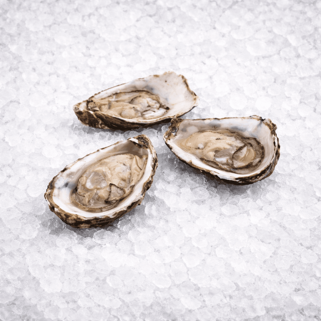 Huîtres bretonnes