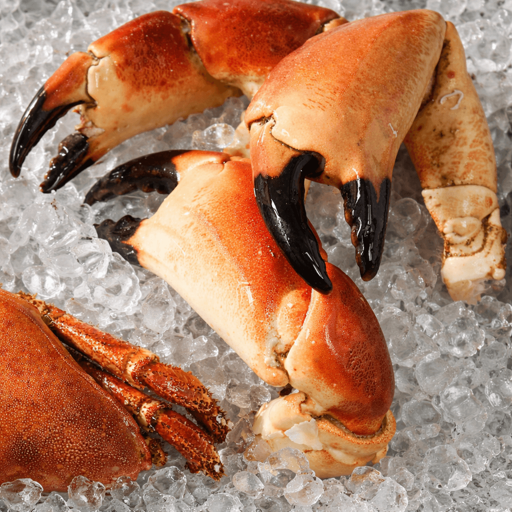 Pince de tourteau cuite