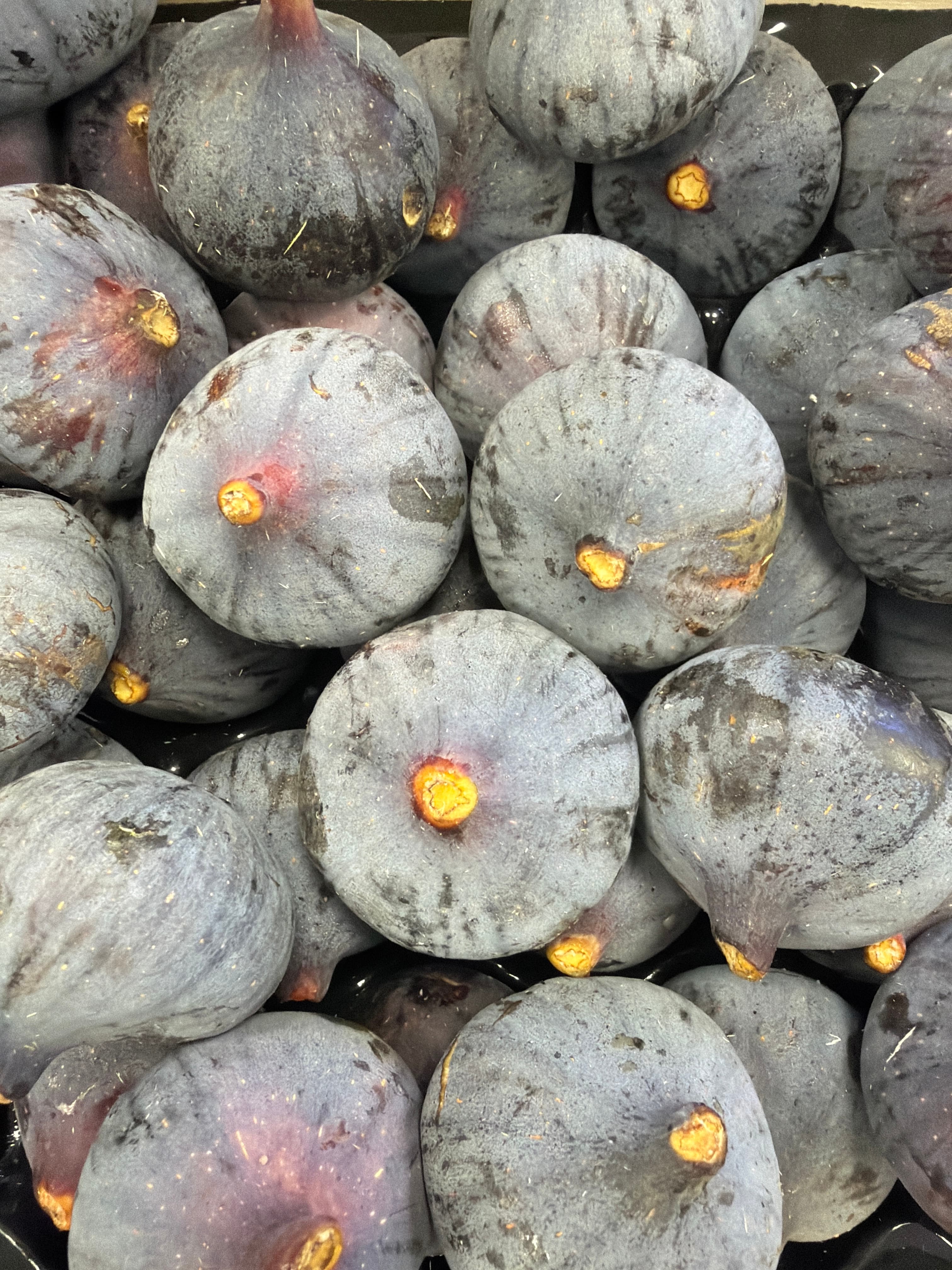 Figues Française