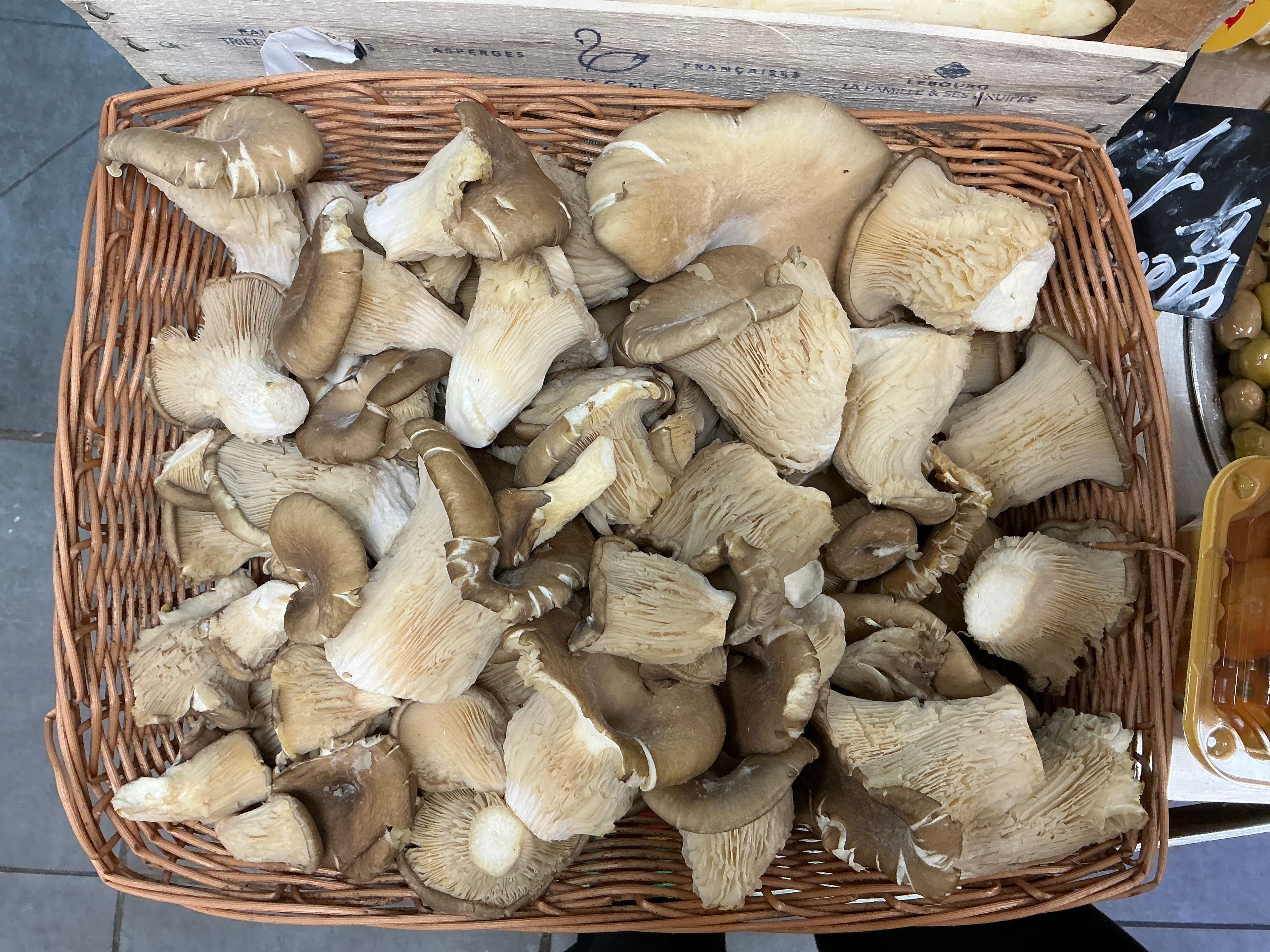 Champignons pleurotes