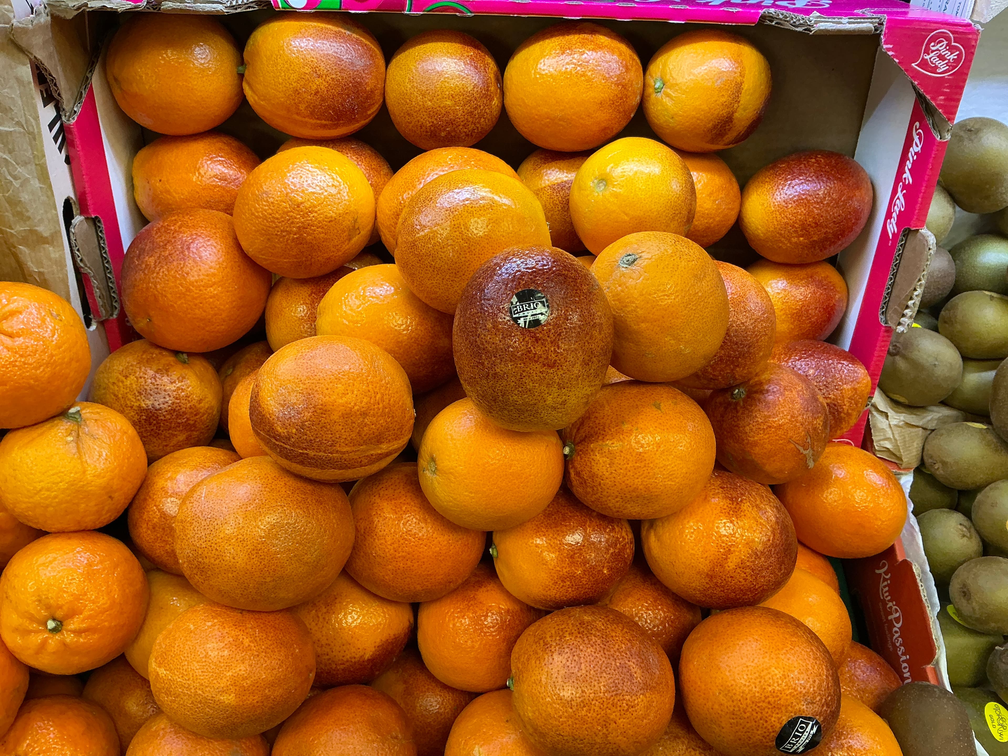 Orange sanguine (fin de saison)