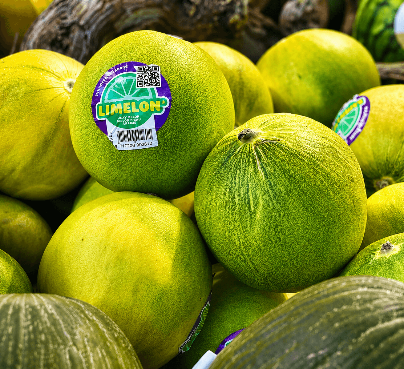 Melon citron