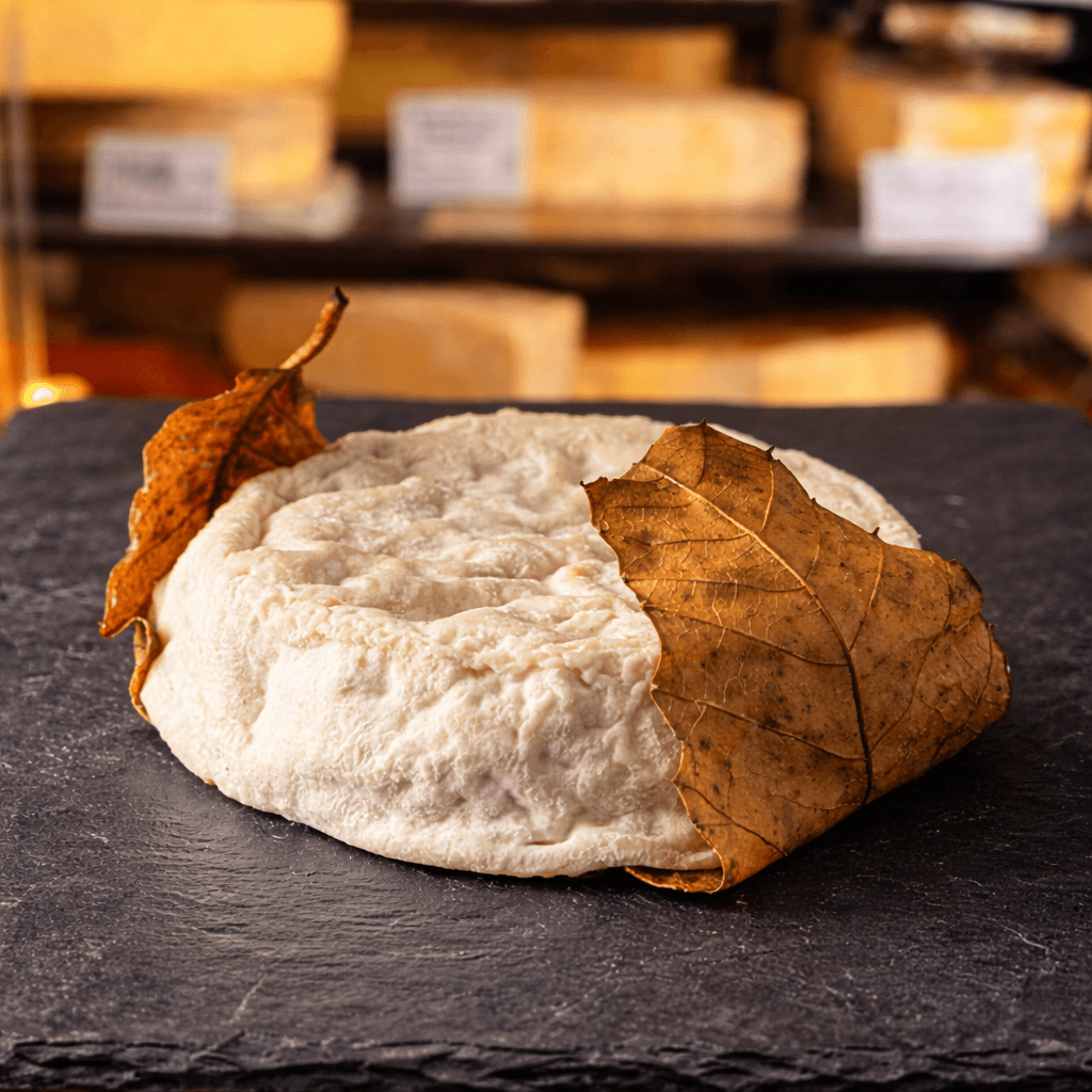 Mothais sur Feuille Fermier