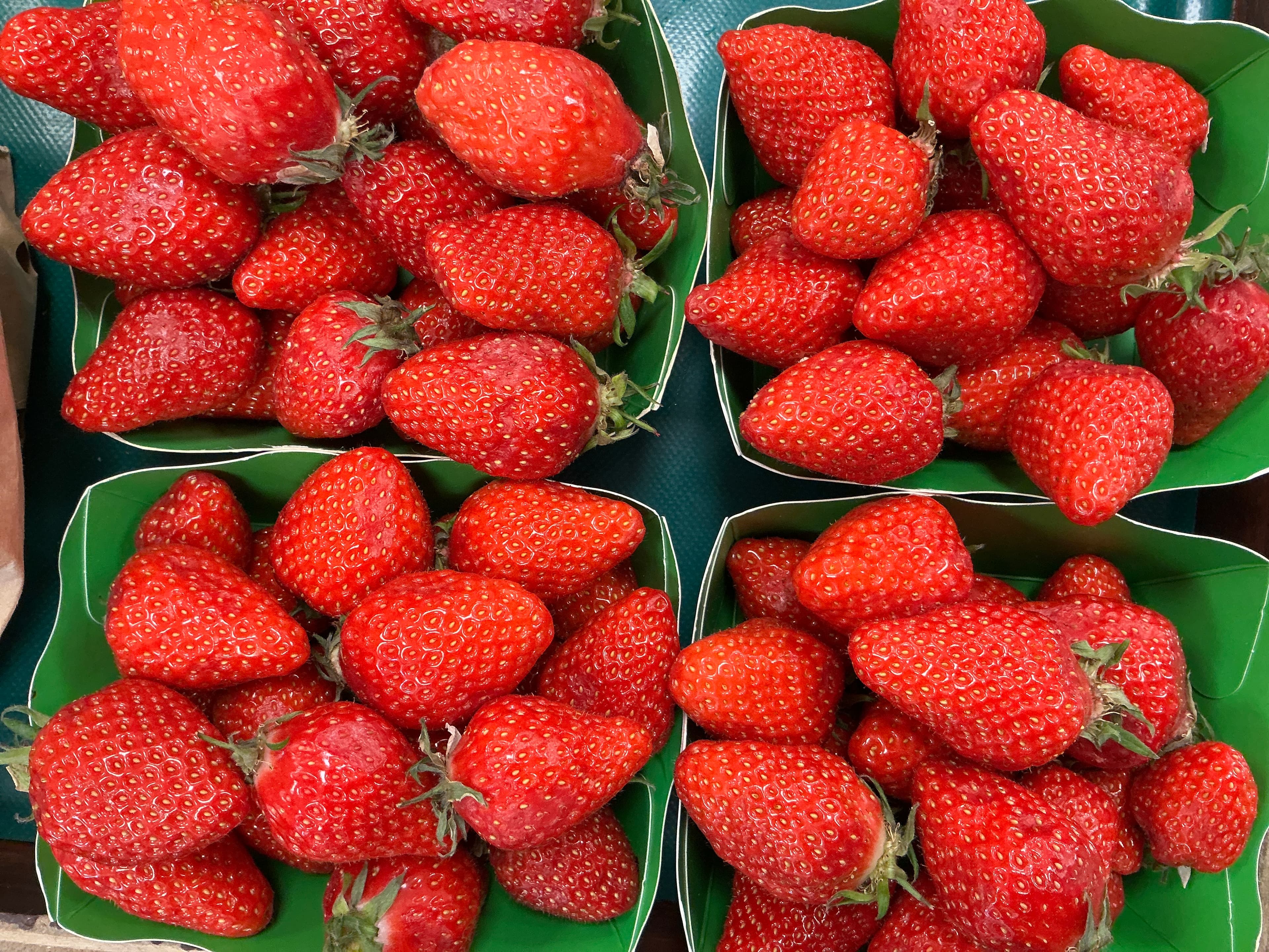 Fraise Belgique