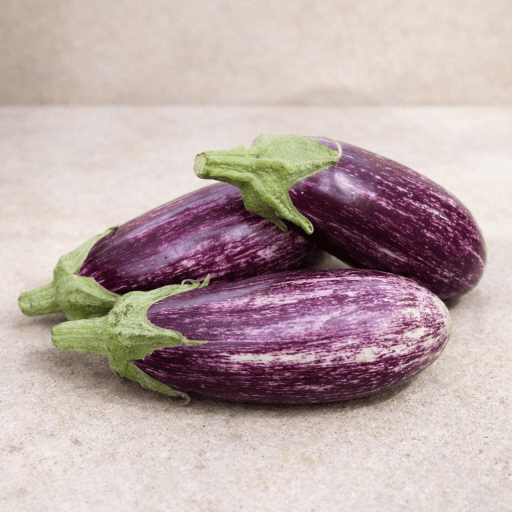 Aubergine rayée