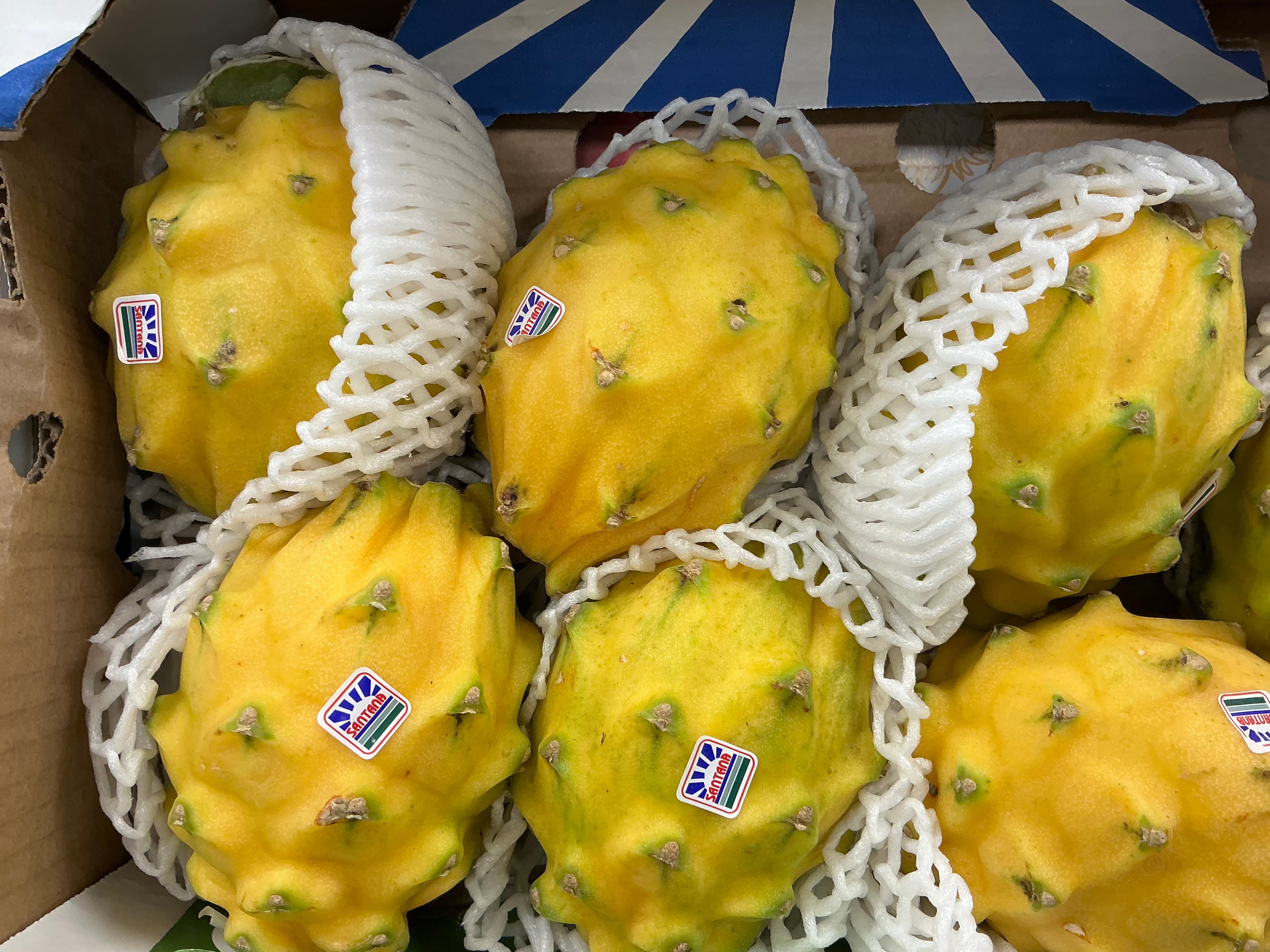 Pitaya Jaune