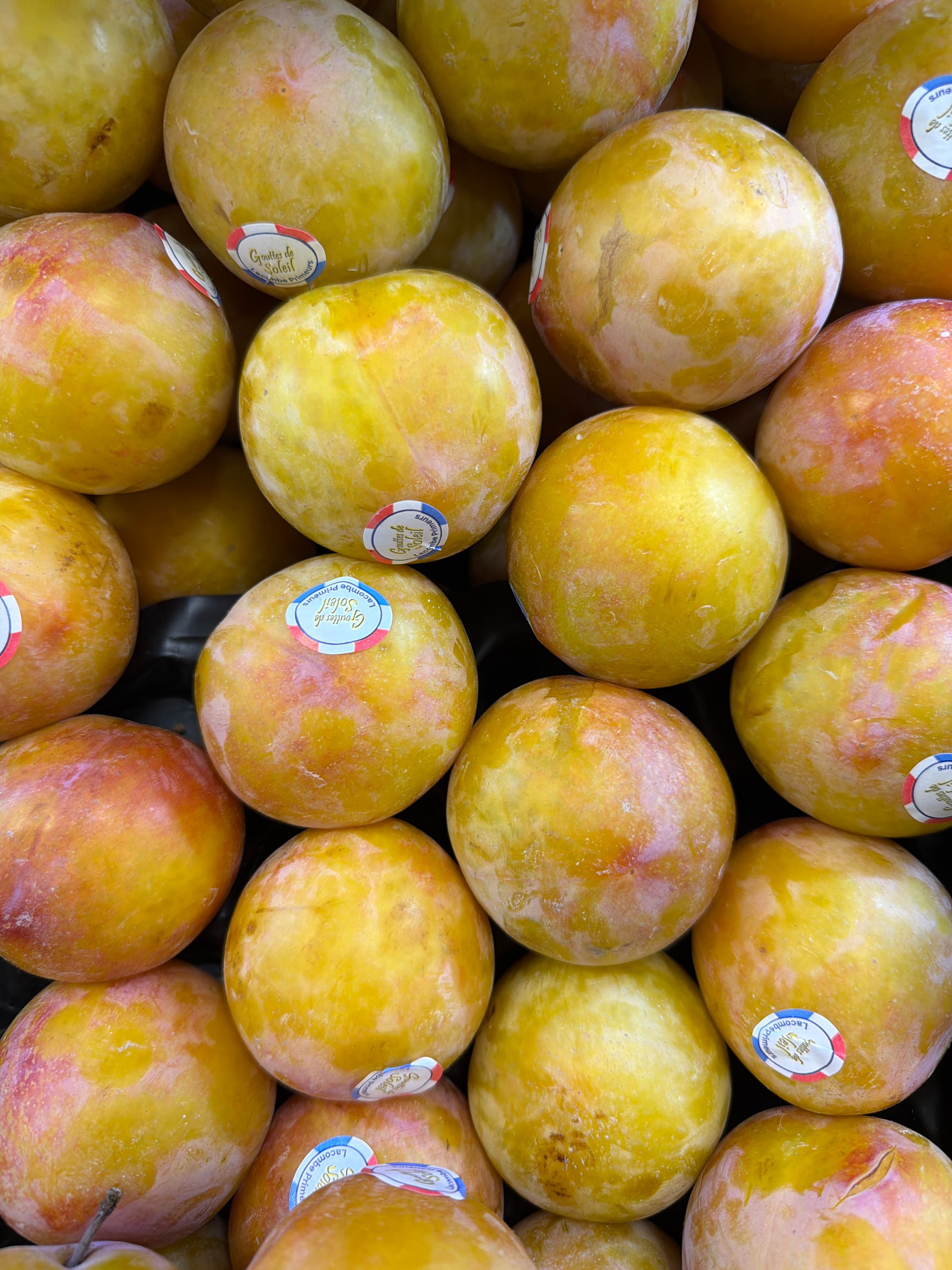 Prune jaune