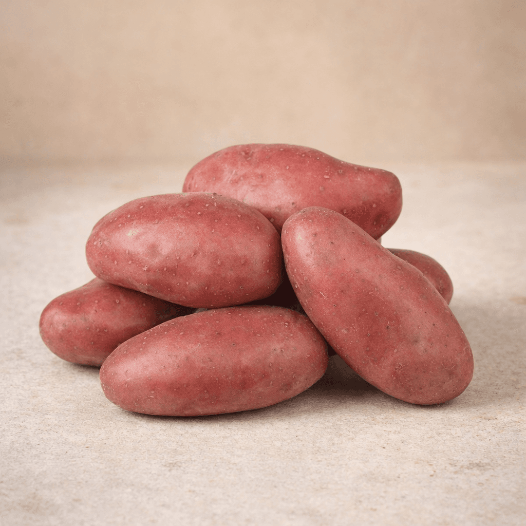 Pommes de terres Rouswelt (chair ferme)