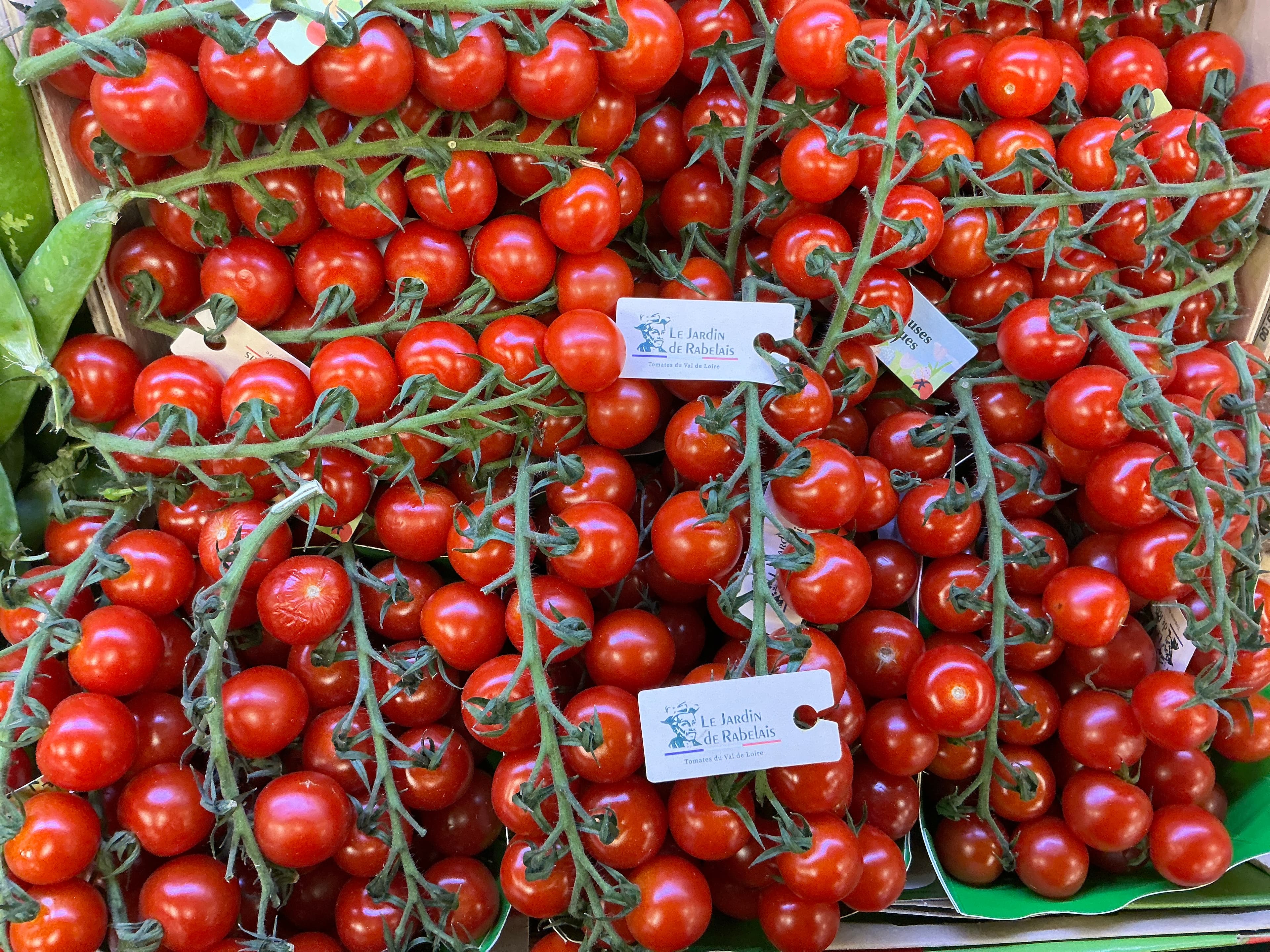 Tomates cerises Le Jardin de Rabelais