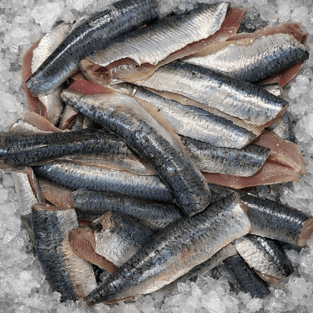 Filets de sardines