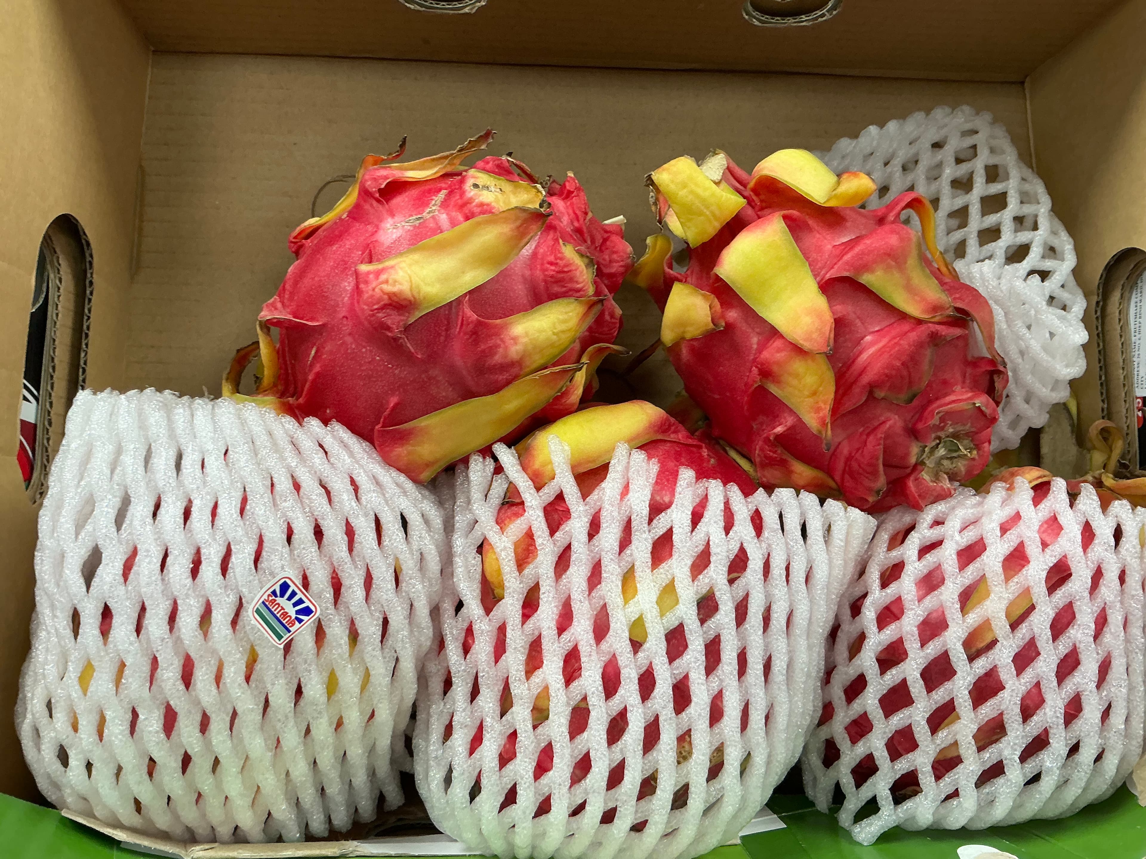 Pitaya Rouge
