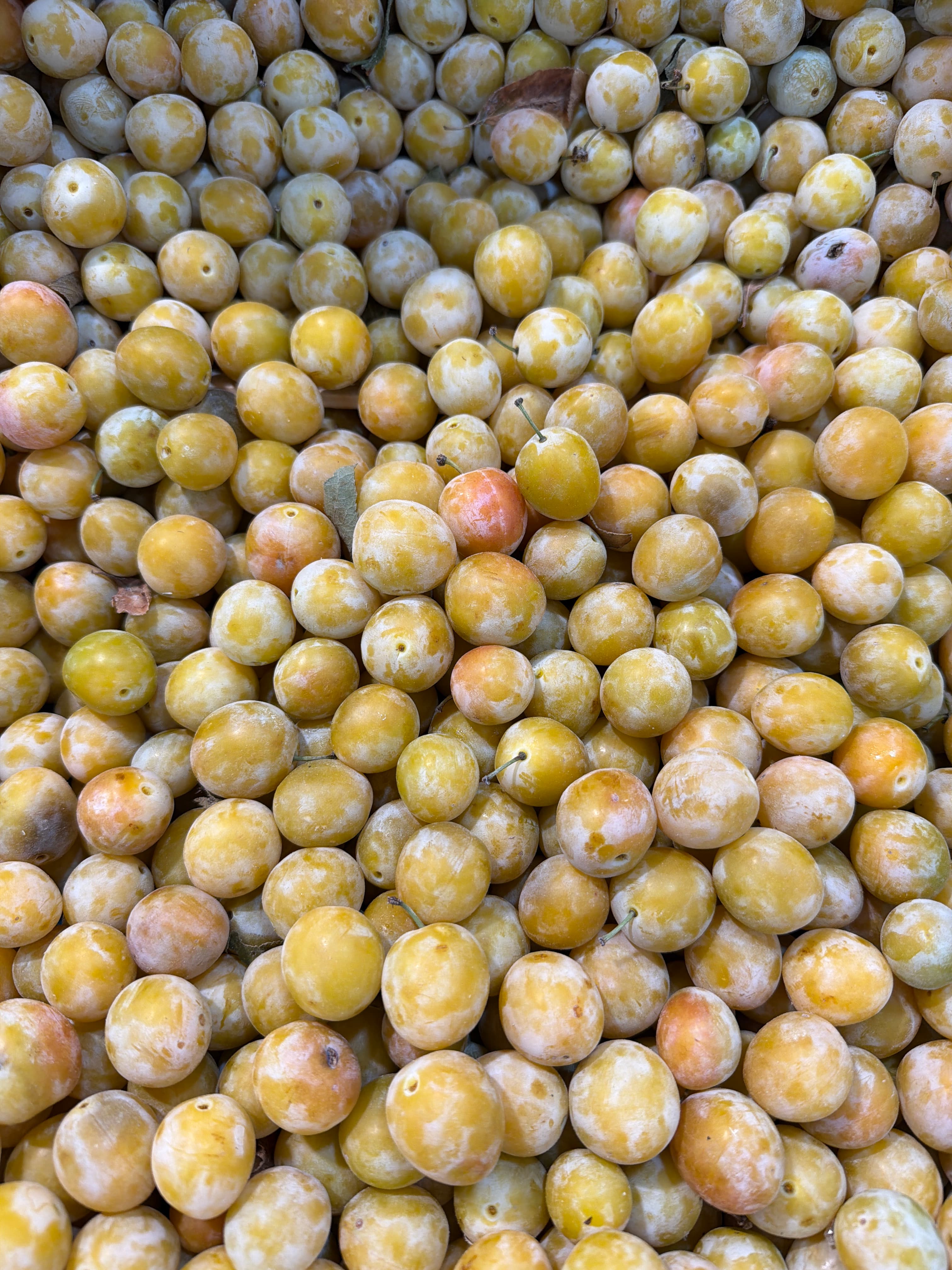 Mirabelle