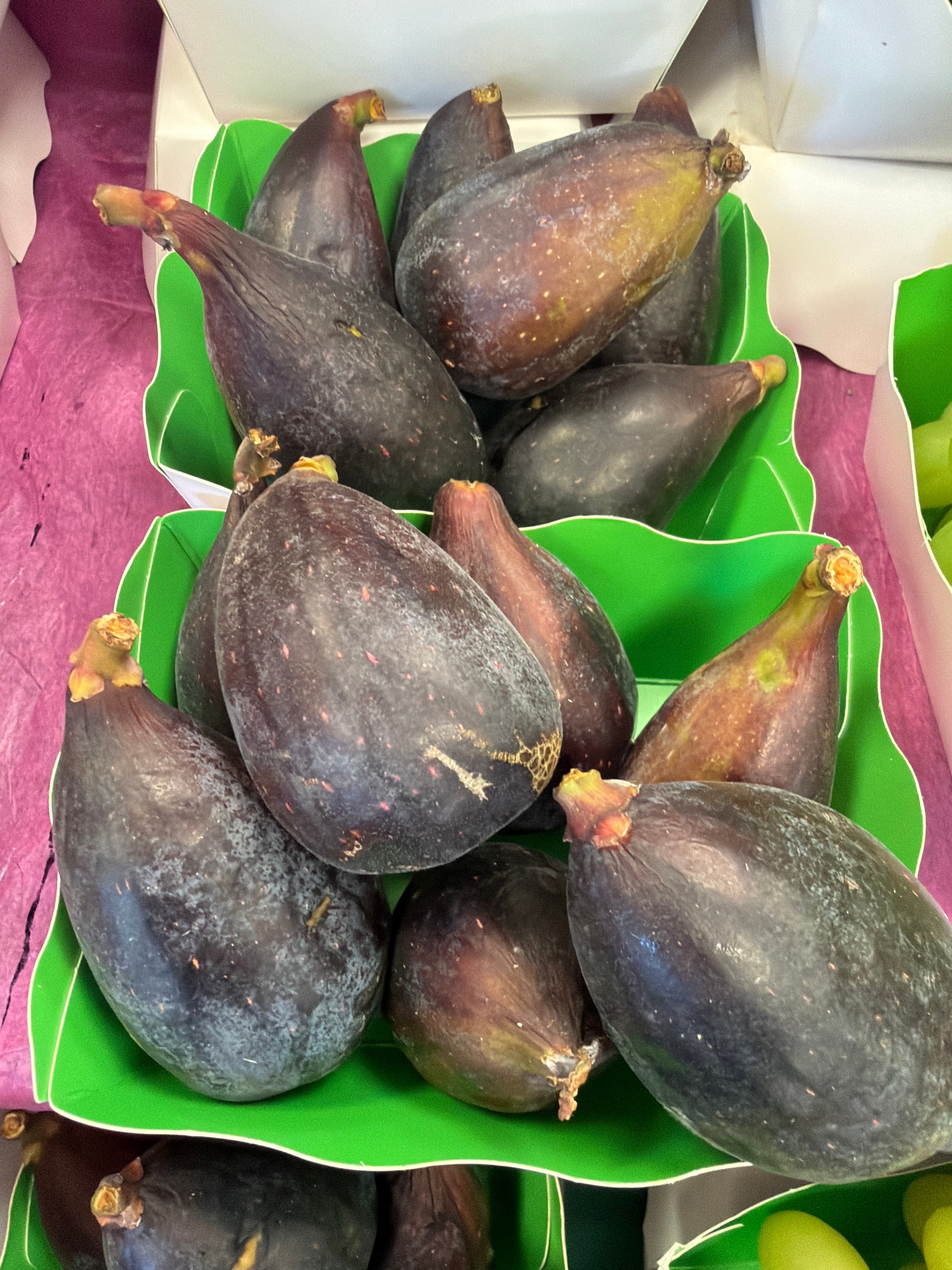 Figue