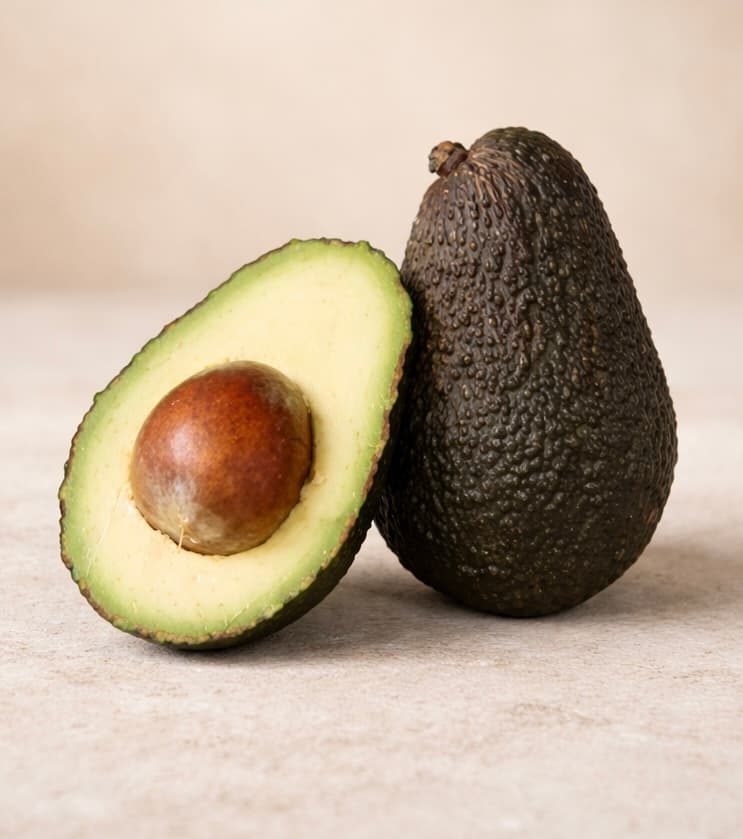 Avocat gros calibre