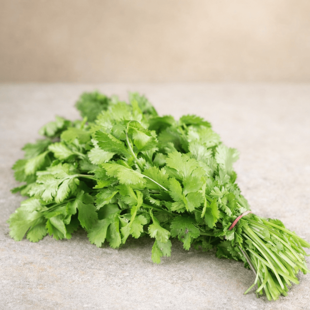 Coriandre
